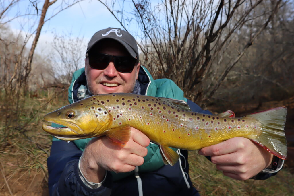 brown trout fly fishing