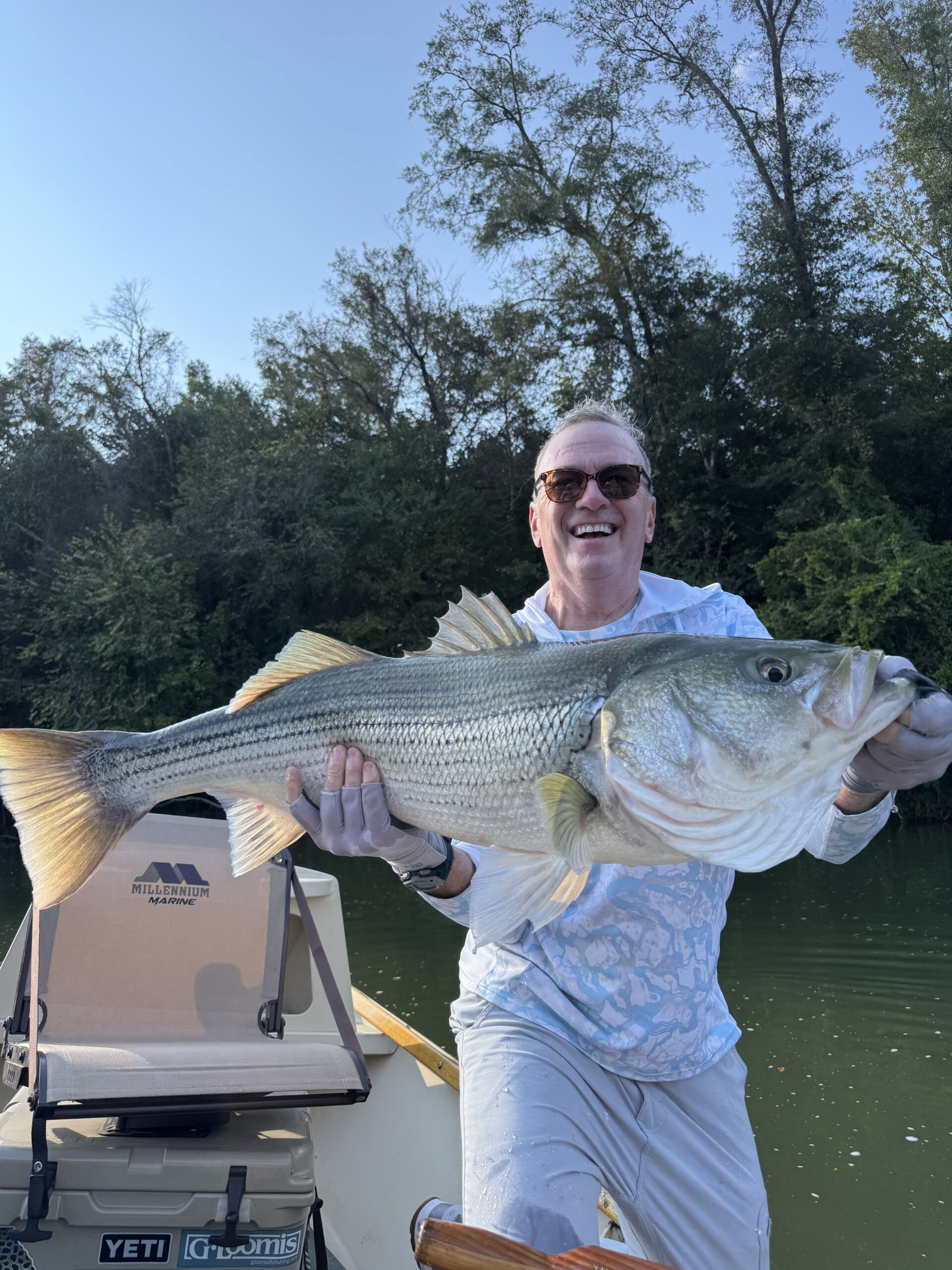 striped bass fly fishing