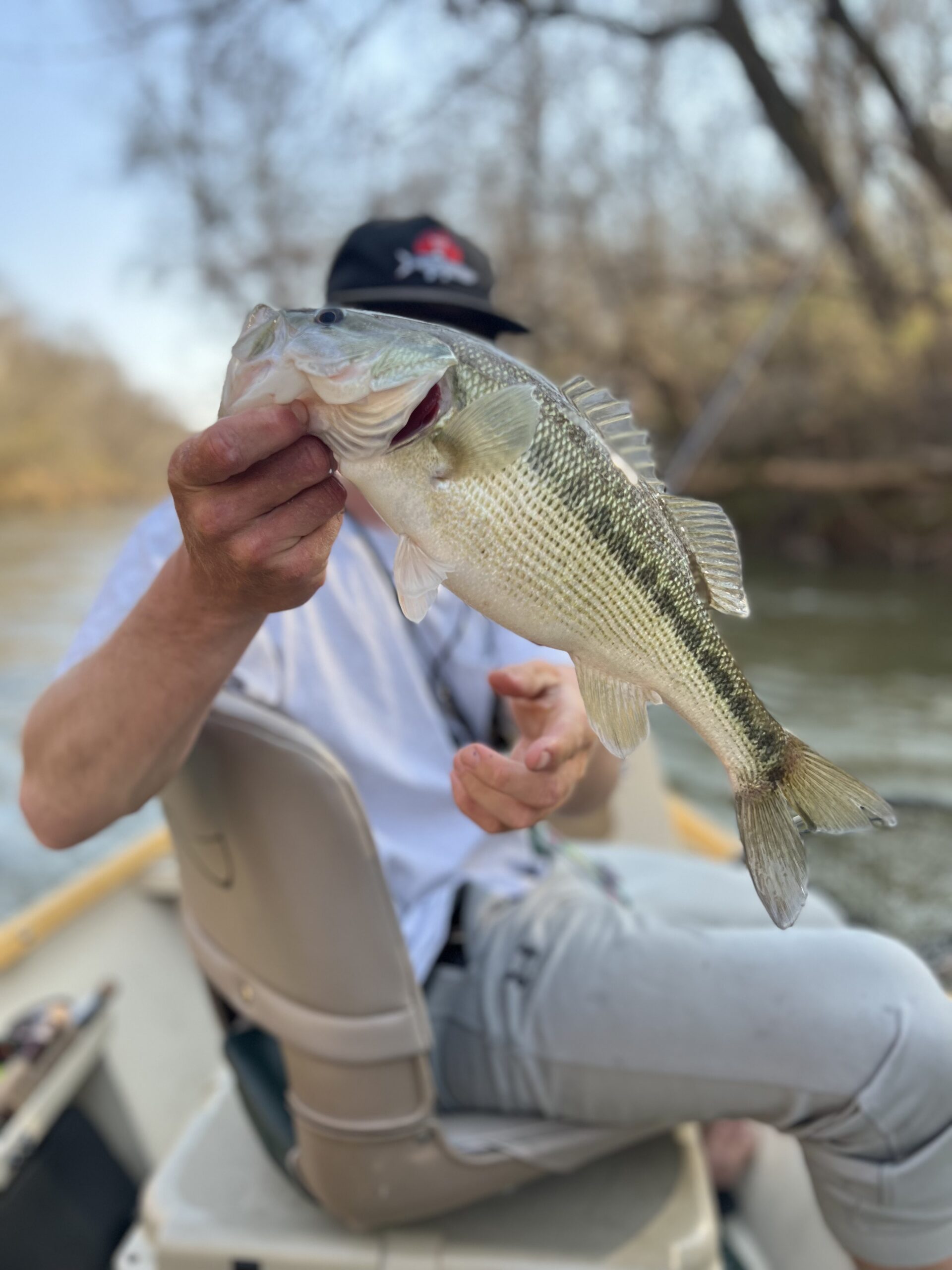 bass fly fishing