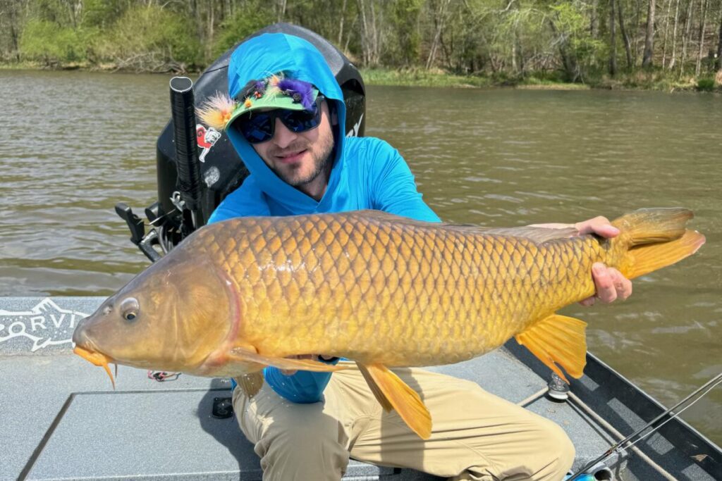 fly fishing flats common carp